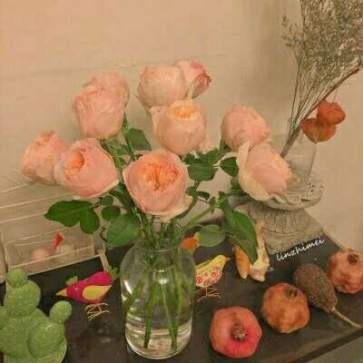 雷竞技RAYBET手机app下载